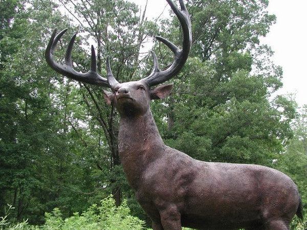 American White Tailed Deer Bronze Sculpture - Image 3