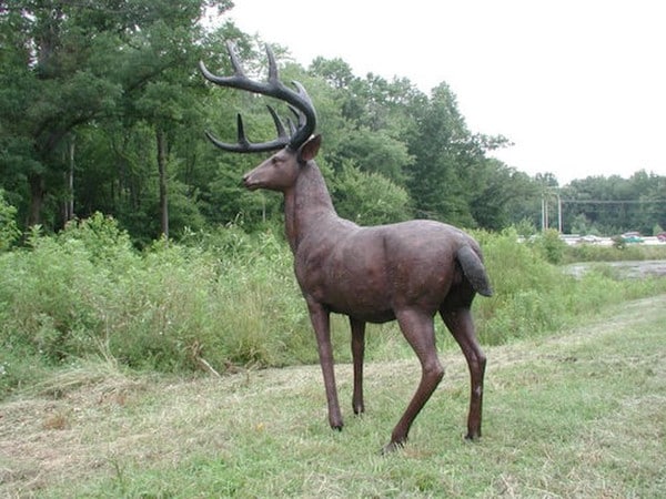 American White Tailed Deer Bronze Sculpture - Image 5