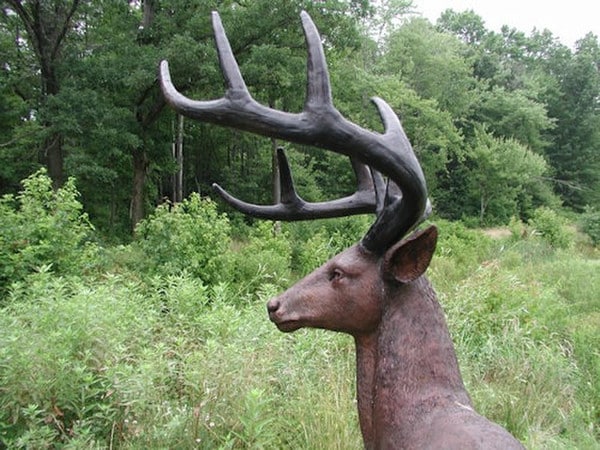 American White Tailed Deer Bronze Sculpture - Image 7