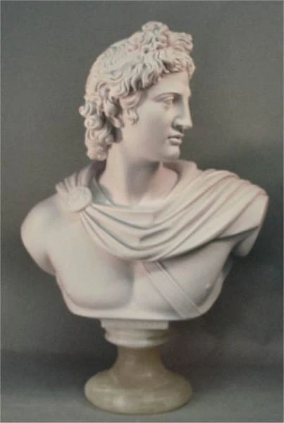 Apollo Belvedere Bust 22"high