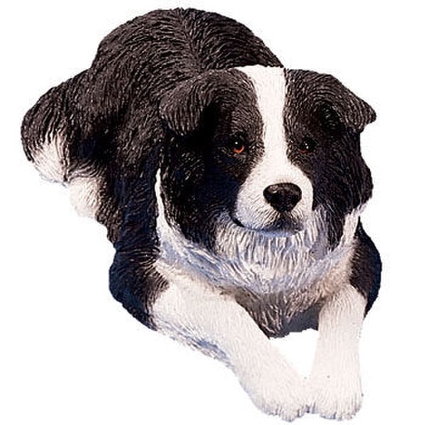 Border Collie Blk/wht Dog Sculpture