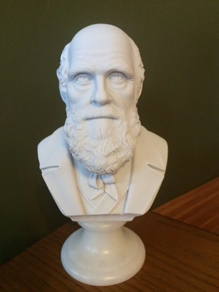Bust of Charles Darwin Marble Sculpture - Image 2