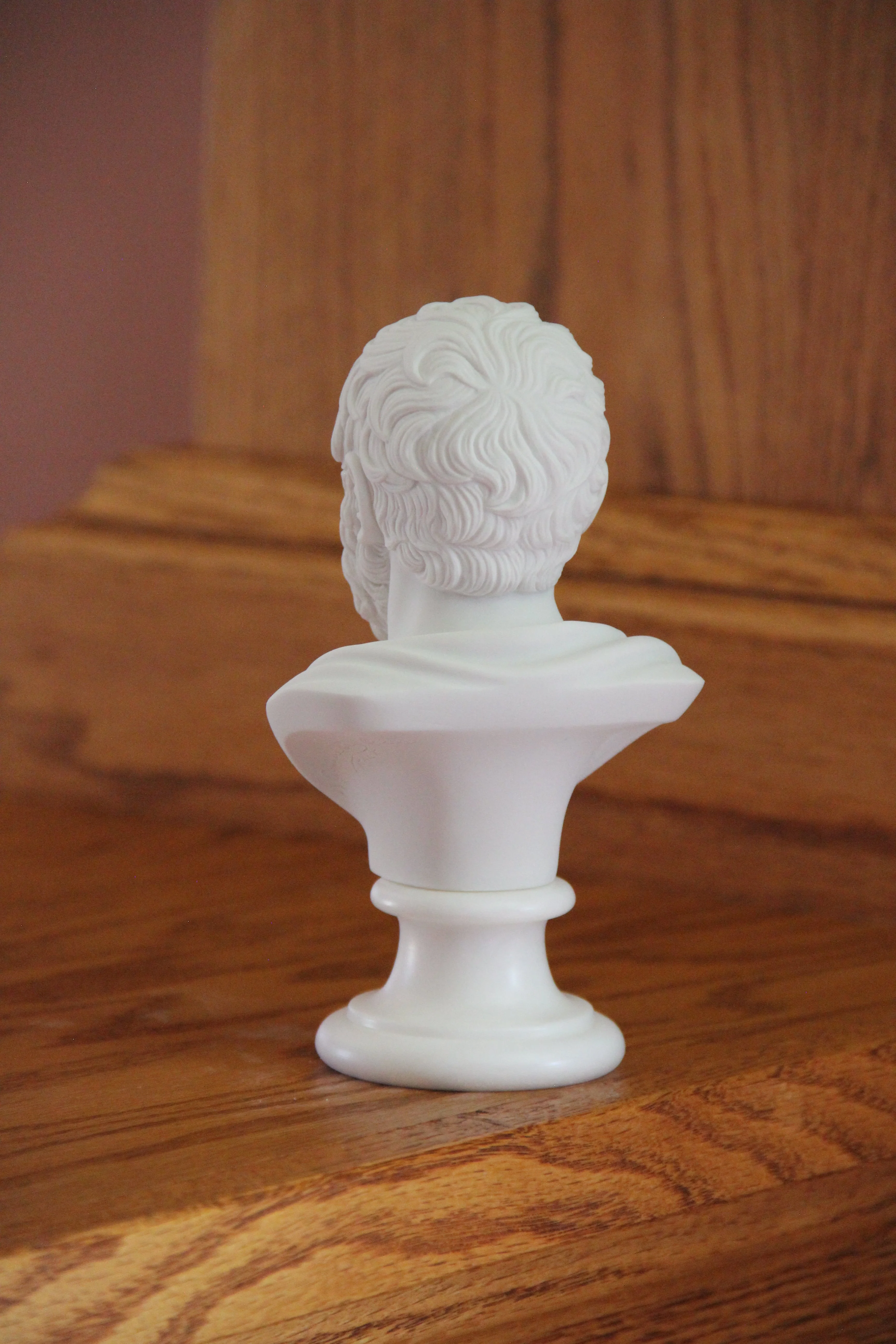 Bust of Socrates Marble Statue - Image 8