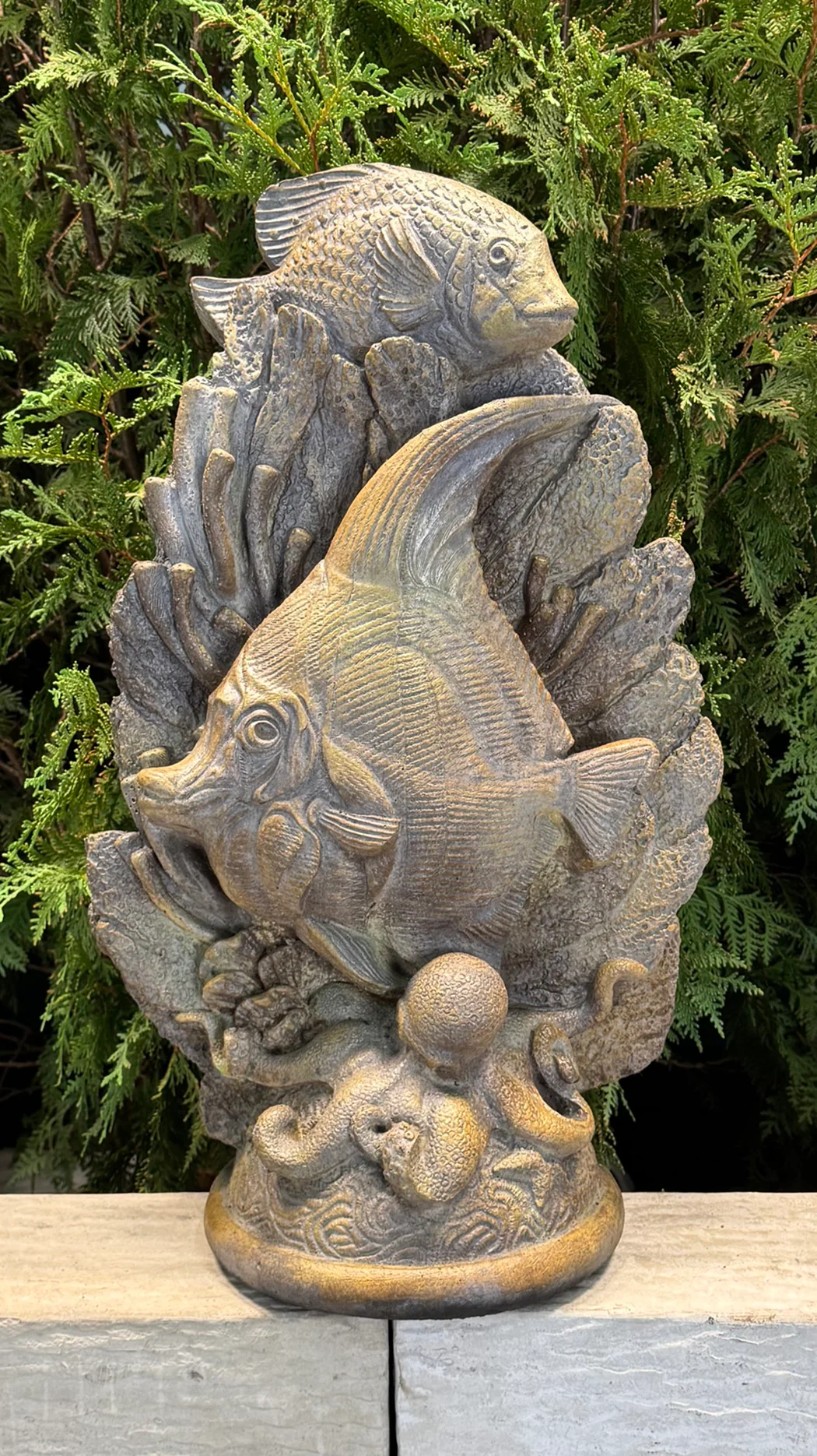 Fish, Octopus & Other Aquatics