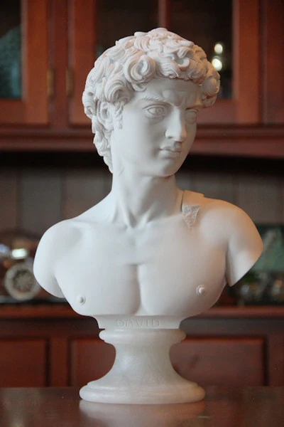 David Bust By Michelangelo 14" High - Image 3