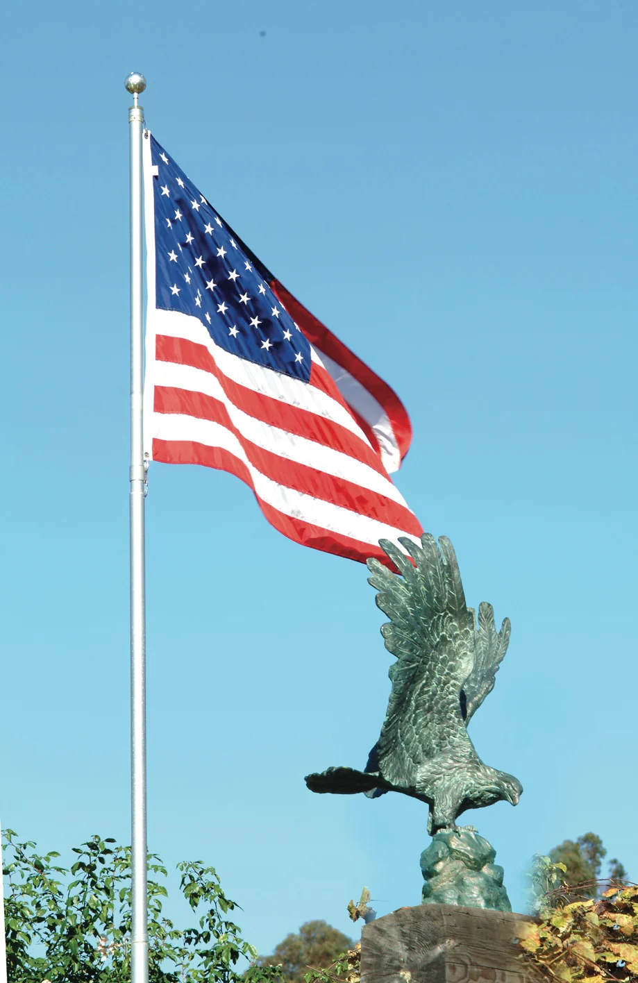 Freedom Eagle Bronze Sculpture 36" High - Image 3