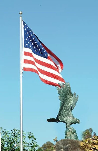 Freedom Eagle Bronze Sculpture 36" High - Image 4