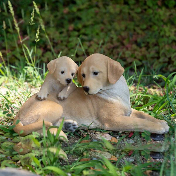 Labrador Mother with Puppy Figurine - Image 6