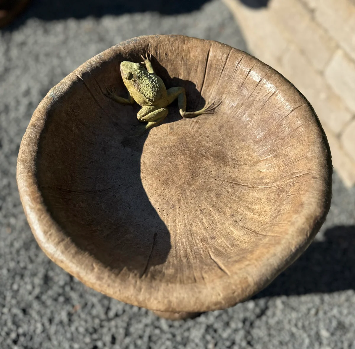 Mushroom Cement Birdbath with Frog in Basin 24" Tall - Image 2