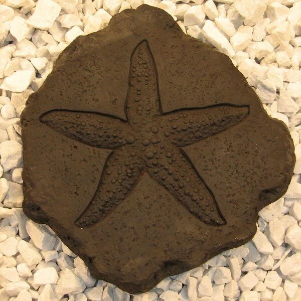 Starfish Stepstone