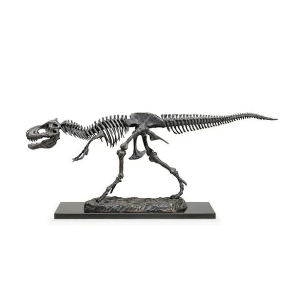 Tyrannosaurus Rex Skeleton Gallery Sculpture - Image 2