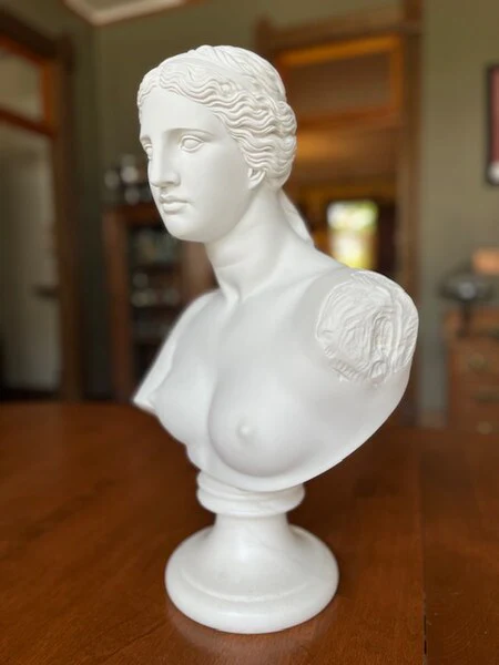 Venus De Milo Bust 20 3/4" High - Image 6